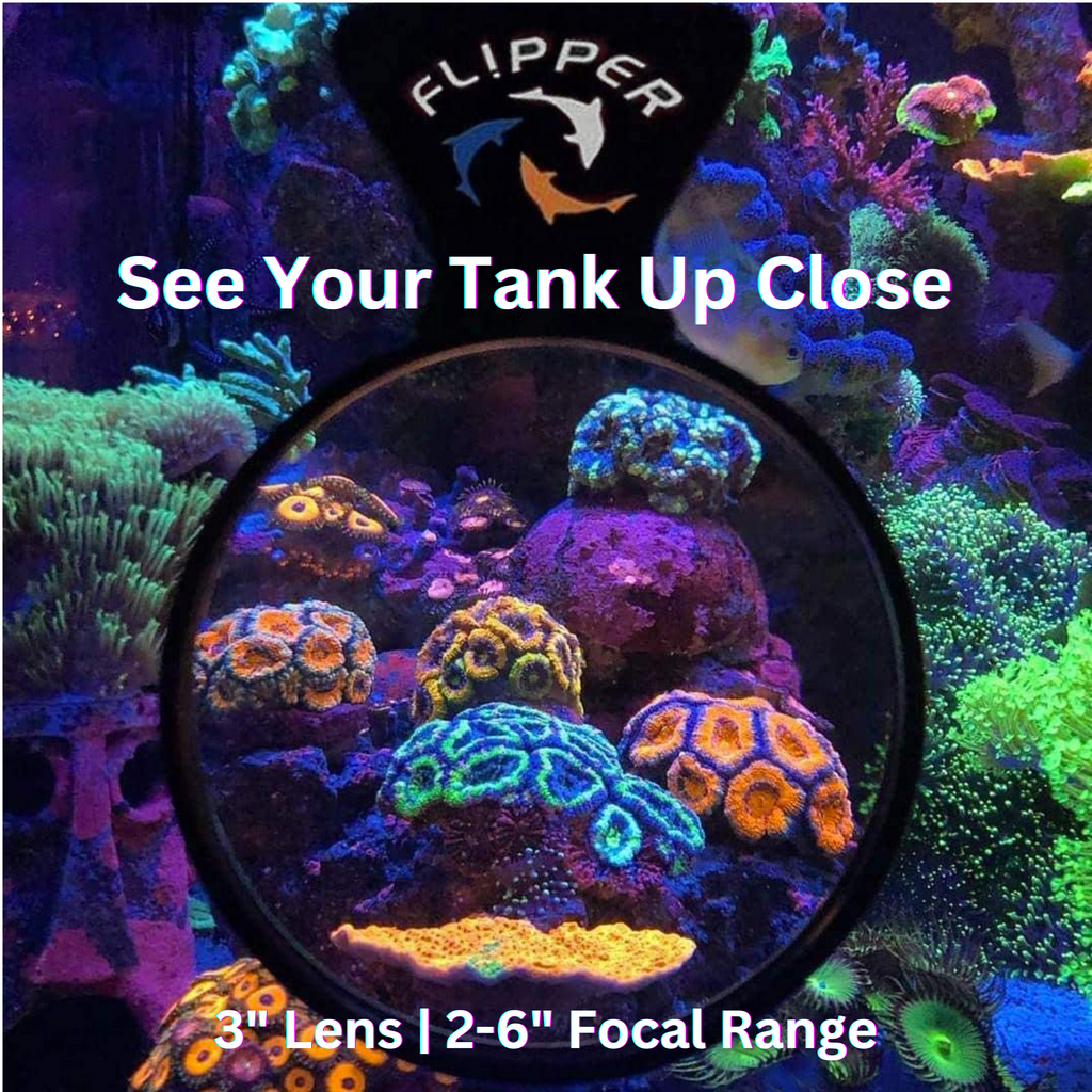 Flipper DeepSee Viewer 3" Nano Magnified Viewer for Aquariums
