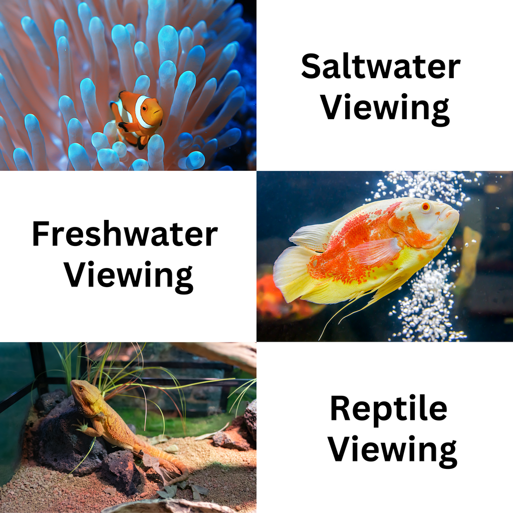 Flipper DeepSee 4" Magnified Viewer for Aquarium Viewing
