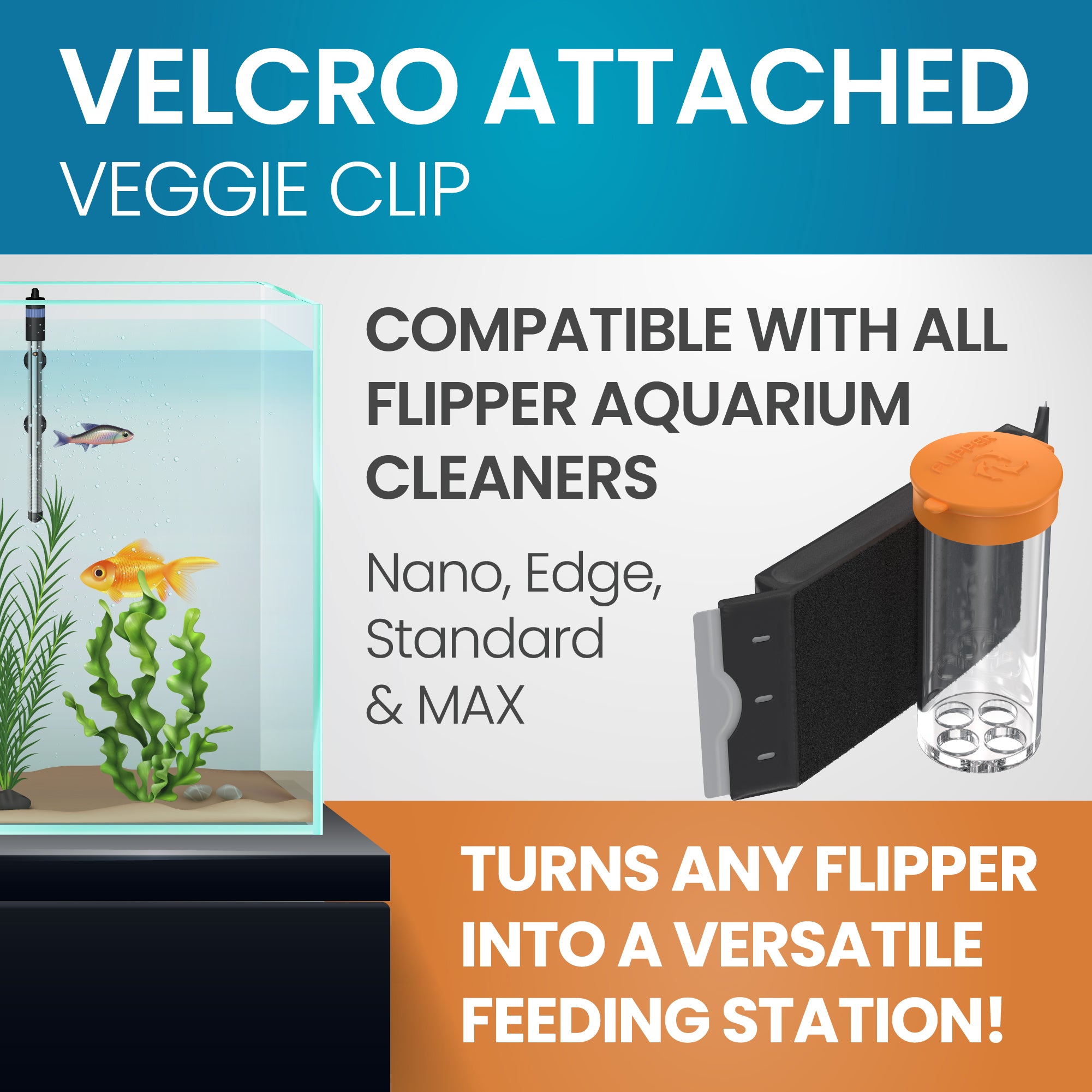 Flipper Feed Aquarium Feeding Kit for Flipper Cleaners – Flipper Aquarium  Products