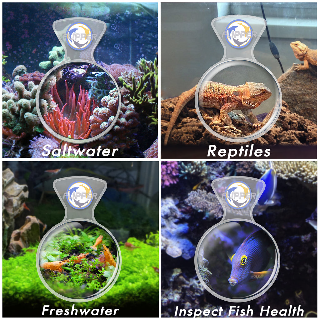 DeepSee CLEAR Max Magnified Magnetic Aquarium Viewer 5"
