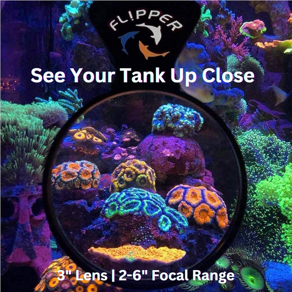 Flipper DeepSee Viewer 3" Nano Magnified Viewer for Aquariums