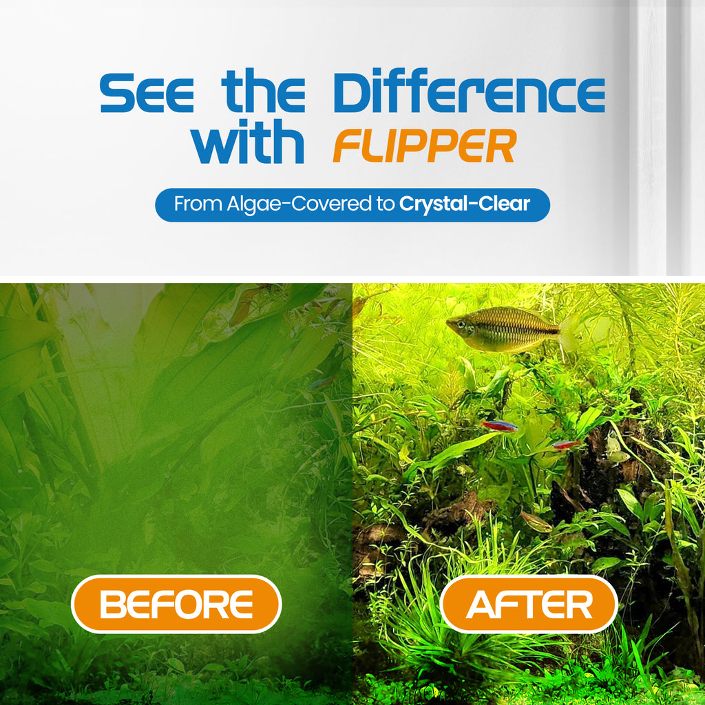 Flipper Platinum Aquarium Hand Scraper for Glass and Acrylic Tanks 10"