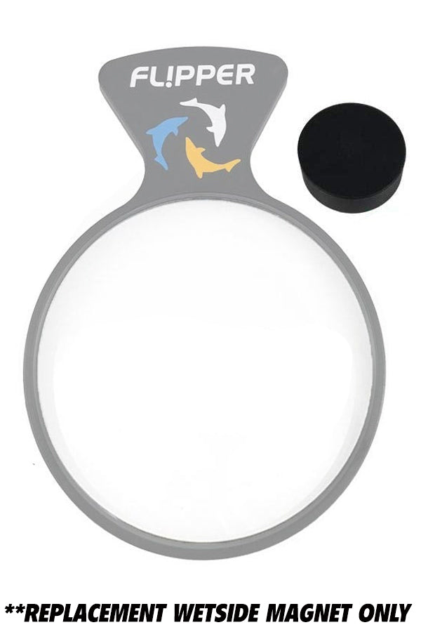 DeepSee Viewer Replacement Wet Side Magnet