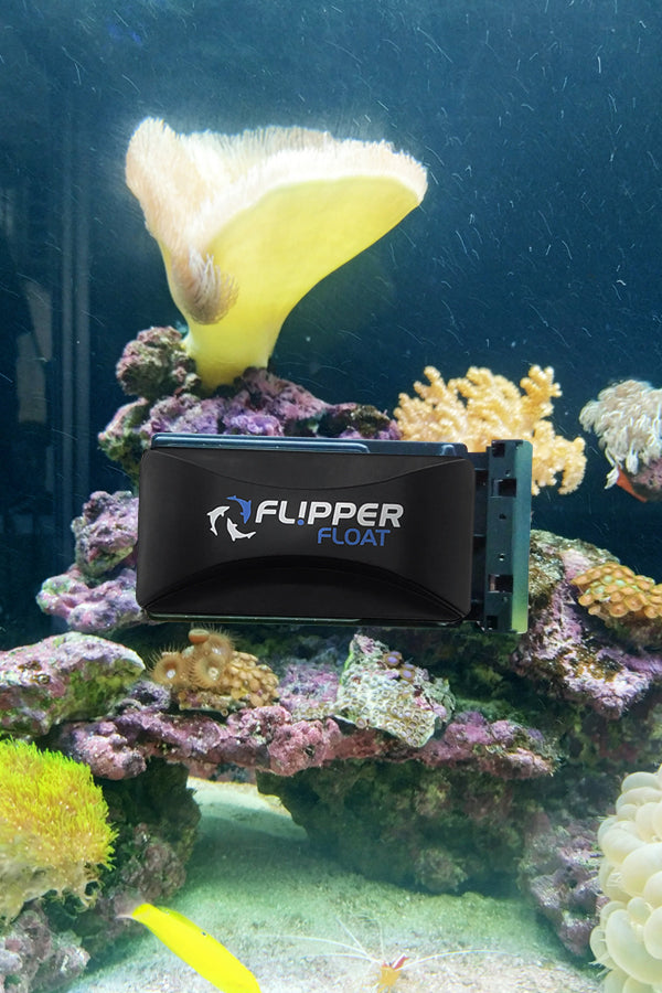Flipper Standard 2 in 1 Magnetic Aquarium Algae Cleaner Scrubber
